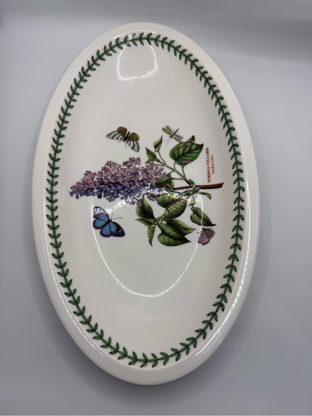 Portmeirion Botanic Garden 13" Oval Serving Platter Garden Lilac Butterflies